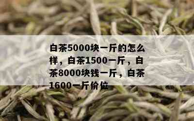 白茶5000块一斤的怎么样，白茶1500一斤，白茶8000块钱一斤，白茶1600一斤价位