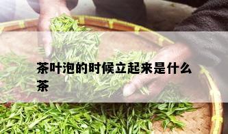 茶叶泡的时候立起来是什么茶