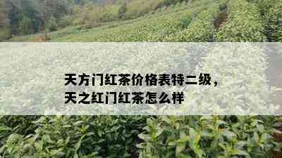 天方门红茶价格表特二级，天之红门红茶怎么样