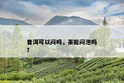 普洱可以闷吗，茶能闷泡吗？