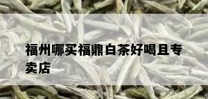 福州哪买福鼎白茶好喝且专卖店