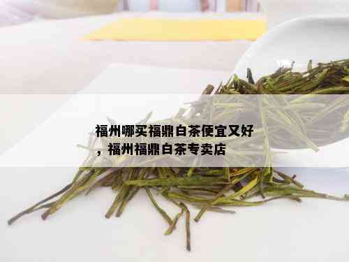 福州哪买福鼎白茶便宜又好，福州福鼎白茶专卖店