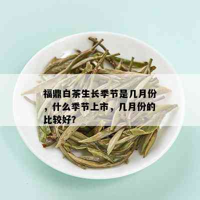 福鼎白茶生长季节是几月份，什么季节上市，几月份的比较好？