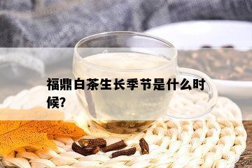 福鼎白茶生长季节是什么时候？