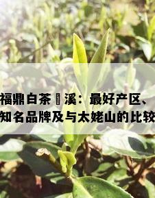 福鼎白茶磻溪：更好产区、知名品牌及与太姥山的比较