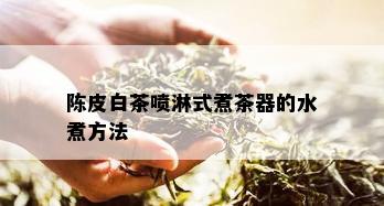 陈皮白茶喷淋式煮茶器的水煮方法