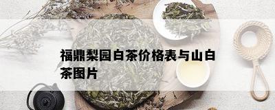 福鼎梨园白茶价格表与山白茶图片