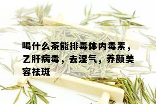 喝什么茶能排体内素，乙肝病，去湿气，养颜美容祛斑