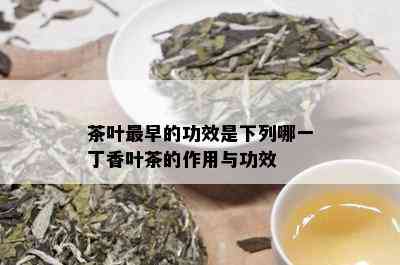 茶叶最早的功效是下列哪一丁香叶茶的作用与功效