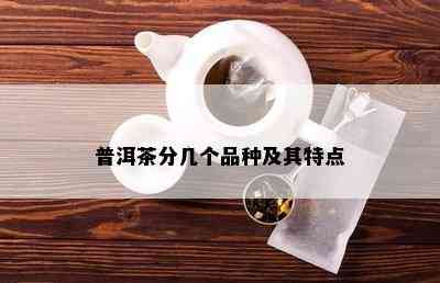 普洱茶分几个品种及其特点