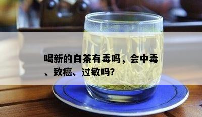 喝新的白茶有吗，会中、致癌、过敏吗？