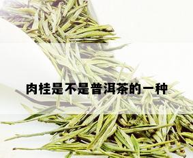 肉桂是不是普洱茶的一种