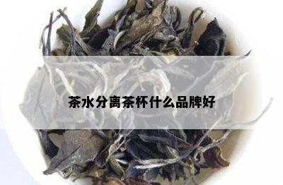 茶水分离茶杯什么品牌好