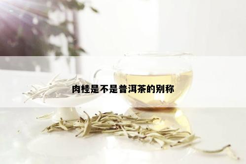 肉桂是不是普洱茶的别称