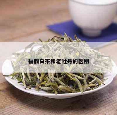 福鼎白茶和老牡丹的区别