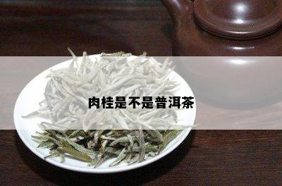 肉桂是不是普洱茶