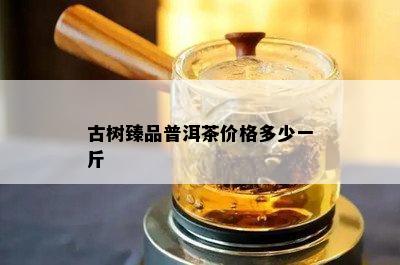 古树臻品普洱茶价格多少一斤