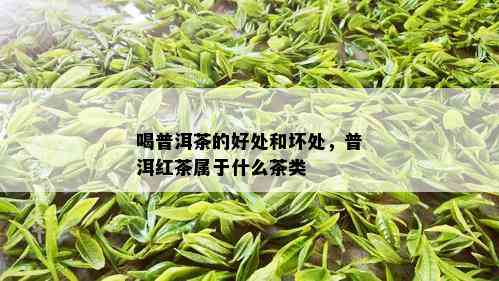 喝普洱茶的好处和坏处，普洱红茶属于什么茶类