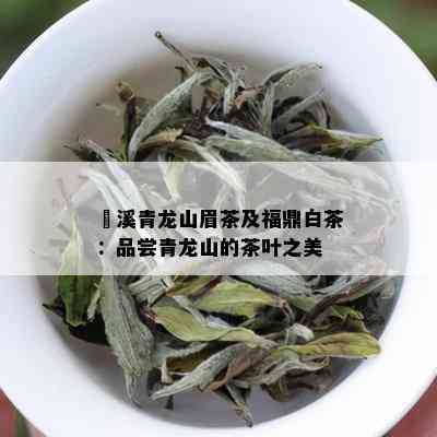 磻溪青龙山眉茶及福鼎白茶：品尝青龙山的茶叶之美