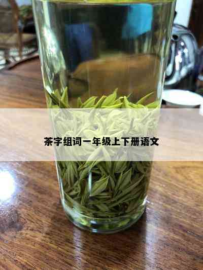 茶字组词一年级上下册语文