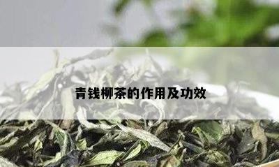 青钱柳茶的作用及功效
