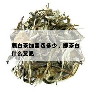 鹿白茶加盟费多少，鹿茶白什么意思