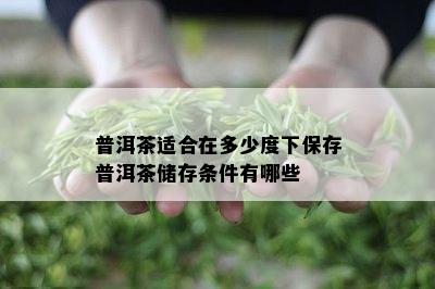 普洱茶适合在多少度下保存普洱茶储存条件有哪些