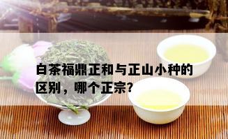 白茶福鼎正和与正山小种的区别，哪个正宗？