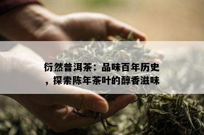 衍然普洱茶：品味百年历史，探索陈年茶叶的醇香滋味