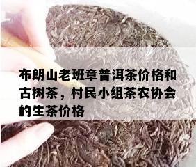 布朗山老班章普洱茶价格和古树茶，村民小组茶农协会的生茶价格