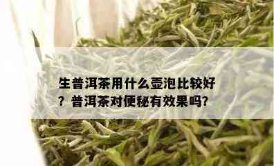 生普洱茶用什么壶泡比较好？普洱茶对便秘有效果吗？