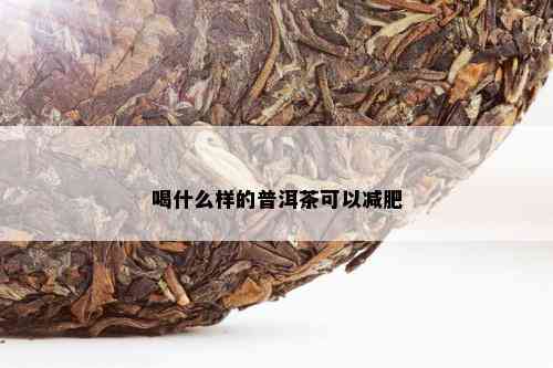 喝什么样的普洱茶可以减肥