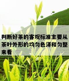 判断好茶的客观标准主要从茶叶外形的均匀色泽和匀整来看