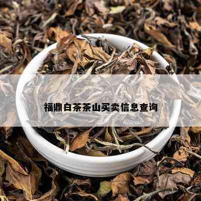 福鼎白茶茶山买卖信息查询