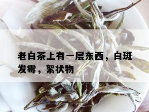 老白茶上有一层东西，白斑发霉，絮状物