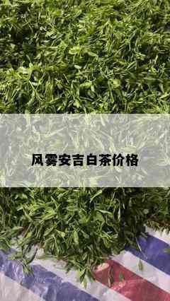 风雾安吉白茶价格