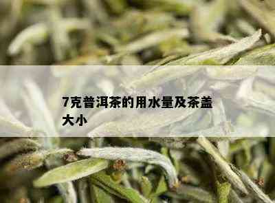 7克普洱茶的用水量及茶盖大小