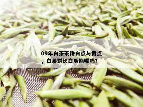 09年白茶茶饼白点与黄点，白茶饼长白毛能喝吗？