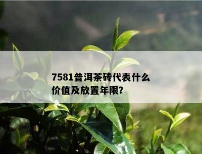 7581普洱茶砖代表什么价值及放置年限？