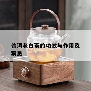 普洱老白茶的功效与作用及禁忌