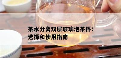 茶水分离双层玻璃泡茶杯：选择和使用指南