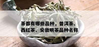 茶都有哪些品种，普洱茶、西红茶、安徽明茶品种名称