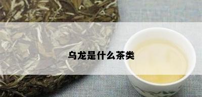 乌龙是什么茶类