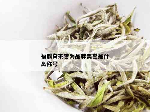 福鼎白茶誉为品牌美誉是什么称号