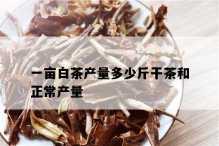 一亩白茶产量多少斤干茶和正常产量