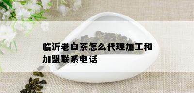 临沂老白茶怎么代理加工和加盟联系电话