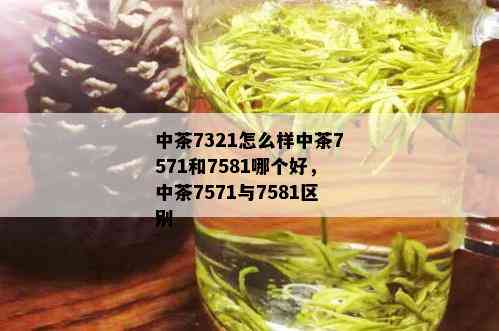 中茶7321怎么样中茶7571和7581哪个好，中茶7571与7581区别