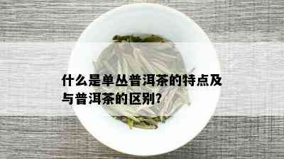 什么是单丛普洱茶的特点及与普洱茶的区别？