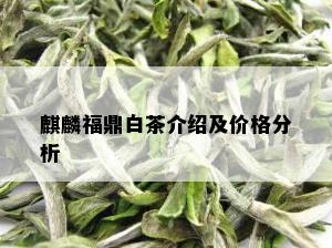 麒麟福鼎白茶介绍及价格分析