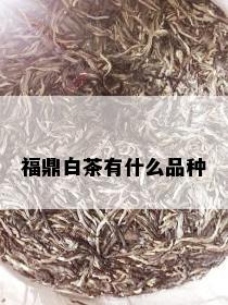 福鼎白茶有什么品种